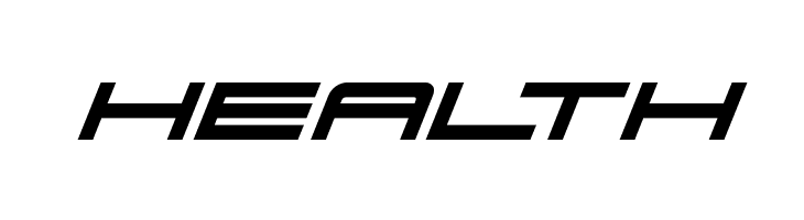 911 Porscha Bold Italic  Free Fonts Download