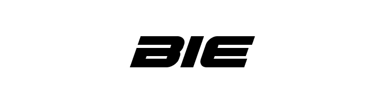 Gunship Bold Italic  Free Fonts Download