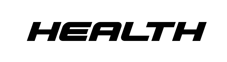 Gunship Bold Italic  Free Fonts Download