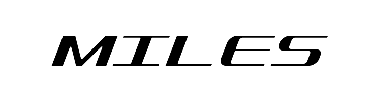 SDF Light Italic  Free Fonts Download