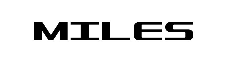 SDF Bold  Free Fonts Download