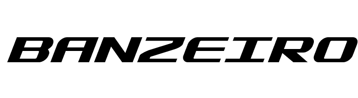 SDF Bold Italic  Free Fonts Download