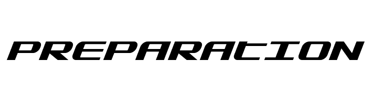 SDF Bold Italic  Free Fonts Download