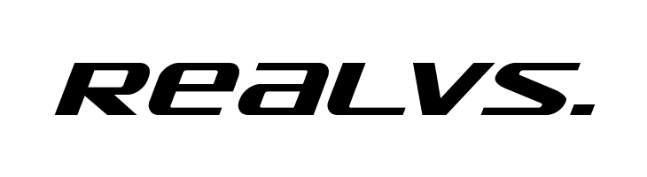 SDF Bold Italic  Free Fonts Download