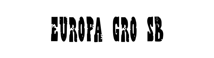 DKWildBunch  Free Fonts Download