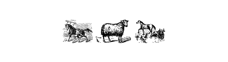 Animals Old Cuts Two  Free Fonts Download