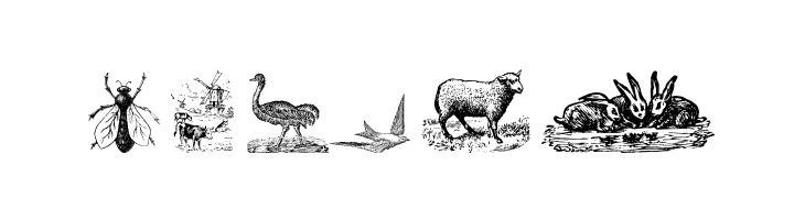 Animals Old Cuts Two  Free Fonts Download
