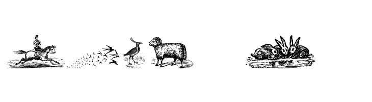 Animals Old Cuts Two  Free Fonts Download