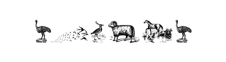 Animals Old Cuts Two  Free Fonts Download