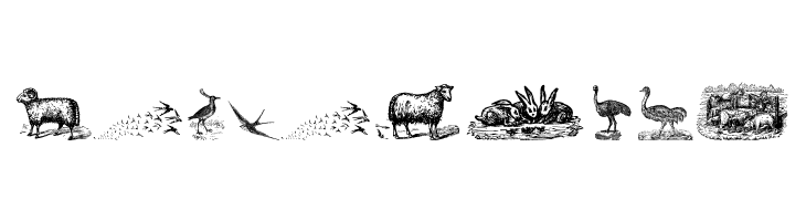 Animals Old Cuts Two  Free Fonts Download