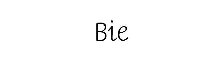 BernerBasisschrift2  Free Fonts Download