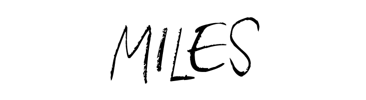 Heina's hurry  Free Fonts Download