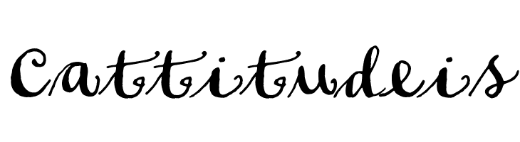 Soft Script  Free Fonts Download