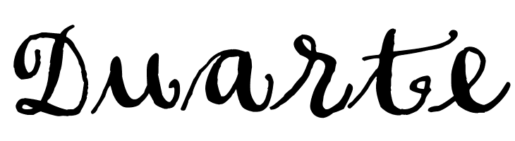 Soft Script  Free Fonts Download