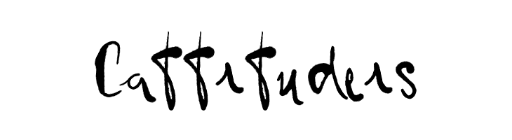 Vtks BlackHair  Free Fonts Download