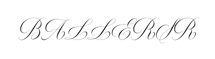 MiltonOneBold  Free Fonts Download