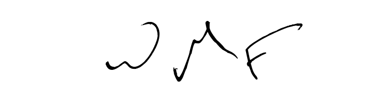 KevinWild  Free Fonts Download