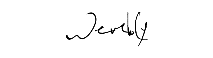 KevinWild  Free Fonts Download