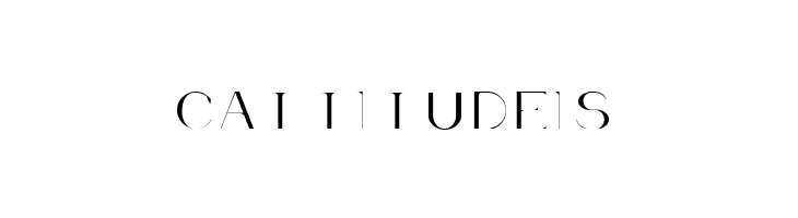 Acne Demo Regular  Free Fonts Download