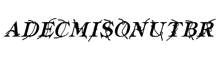 Typography ties Bold Italic  Free Fonts Download