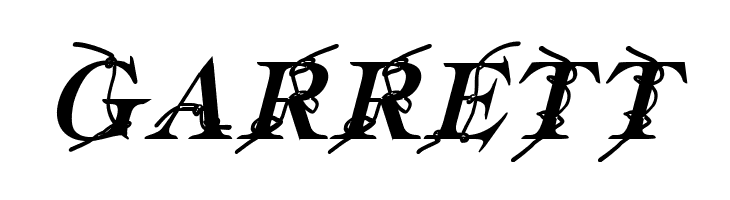 Typography ties Bold Italic  Free Fonts Download