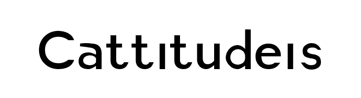 America Faster Light  Free Fonts Download