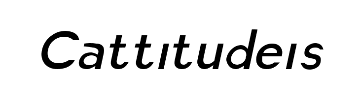 America Faster Light Italic  Free Fonts Download