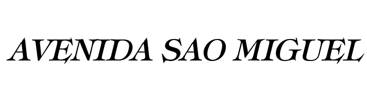 Typography Times Bold Italic  Free Fonts Download