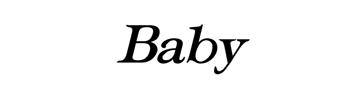 Typography Times Bold Italic  Free Fonts Download