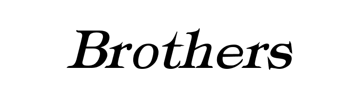 Typography Times Bold Italic  Free Fonts Download