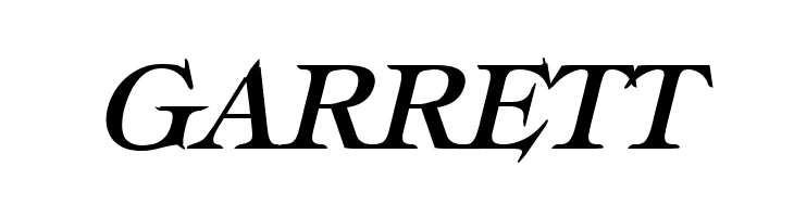 Typography Times Bold Italic  Free Fonts Download