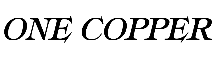 Typography Times Bold Italic  Free Fonts Download