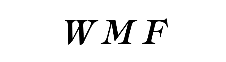 Typography Times Bold Italic  Free Fonts Download