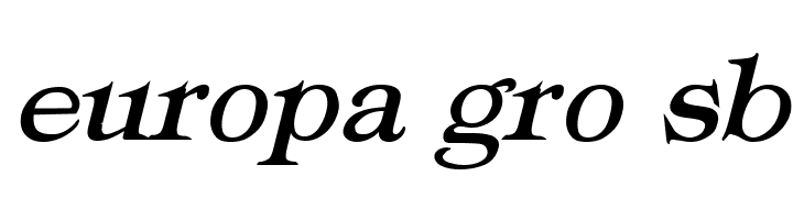 Typography Times Bold Italic  Free Fonts Download
