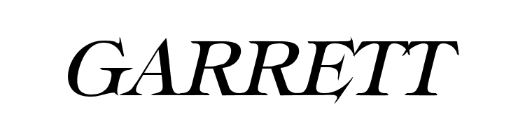 Typography Times Italic  Free Fonts Download