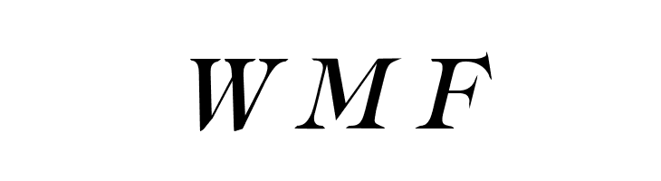Typography Times Italic  Free Fonts Download
