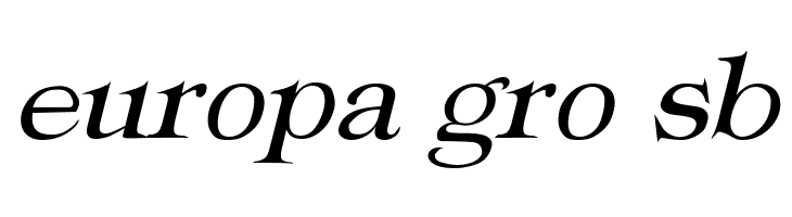 Typography Times Italic  Free Fonts Download