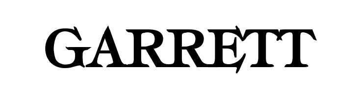 Typography Times Bold  Free Fonts Download