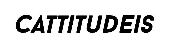 BaronNeueBlackItalic  Free Fonts Download