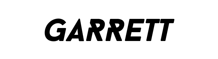 BaronNeueBlackItalic  Free Fonts Download