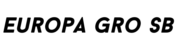 BaronNeueBlackItalic  Free Fonts Download