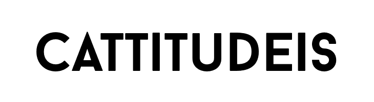 BaronNeueBold  Free Fonts Download