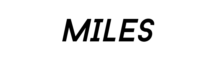 BaronNeueItalic  Free Fonts Download