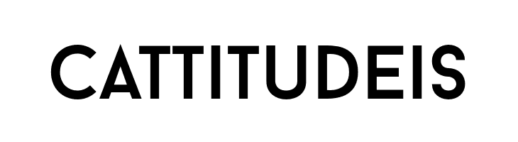 BaronNeue  Free Fonts Download