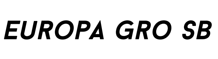 BaronNeueBoldItalic  Free Fonts Download