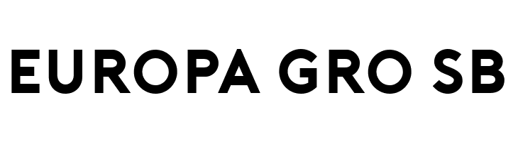 Porter Bold DEMO  Free Fonts Download
