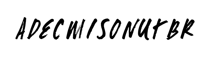 fast max  Free Fonts Download