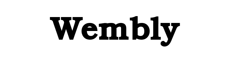 ER Bukinist 1251 Bold  Free Fonts Download