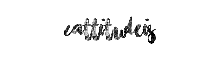 Chasing Embers  Free Fonts Download