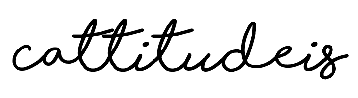 Shorelines Script Bold  Free Fonts Download